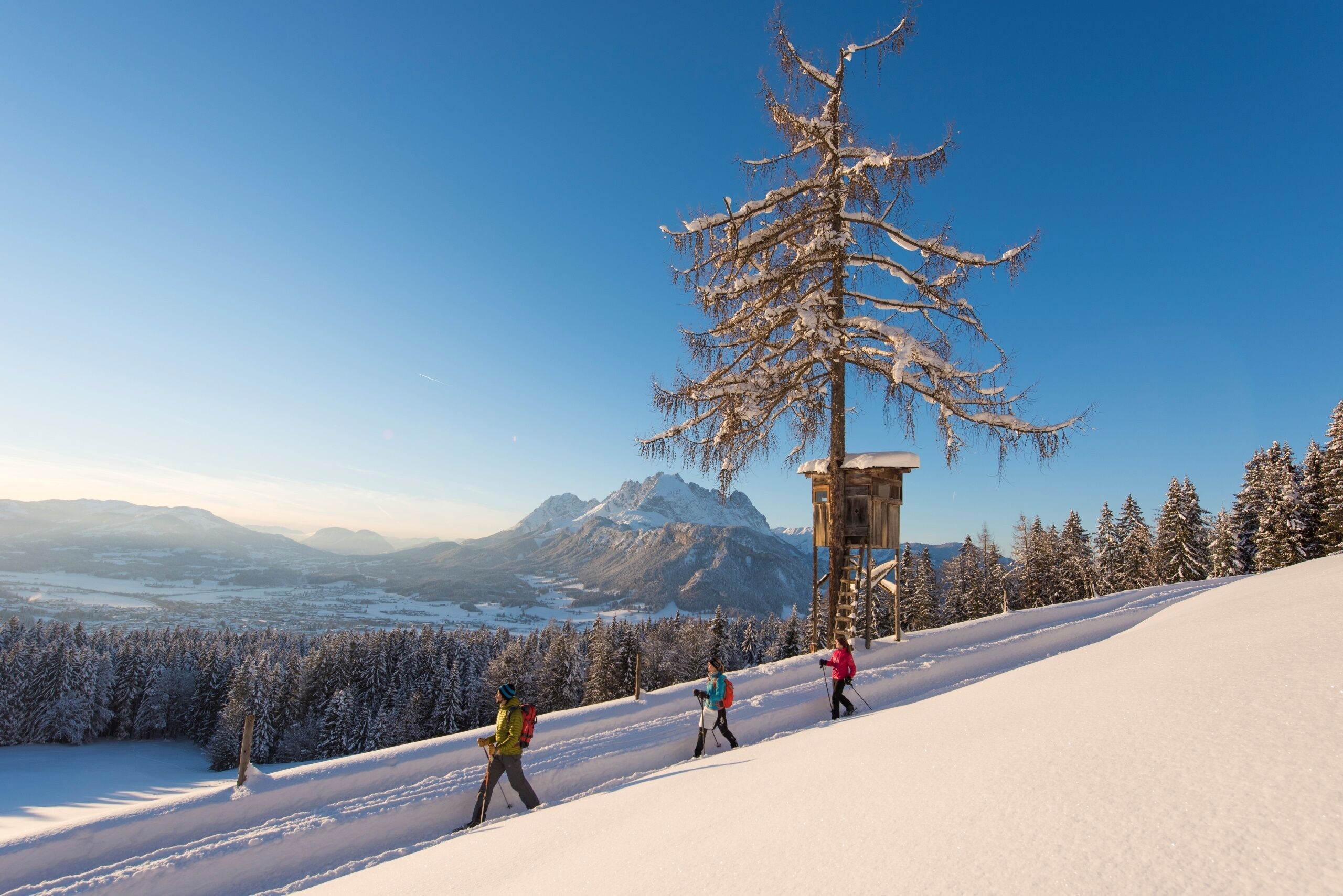 A snowy mountain landscape with skiers, a wooden cabin, and snow-covered trees.