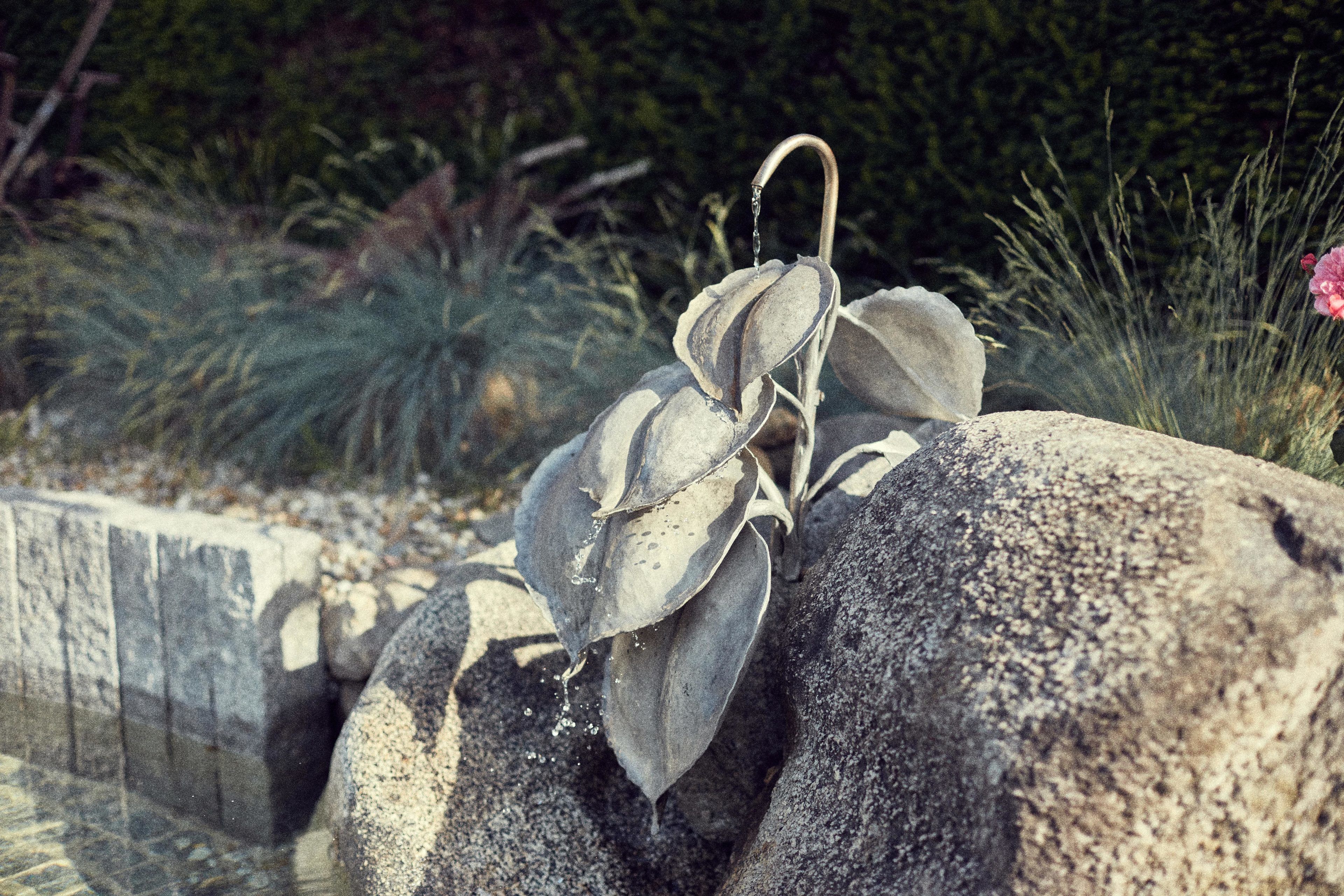 Een stenen plantenbak met een plant en een metalen gieter.