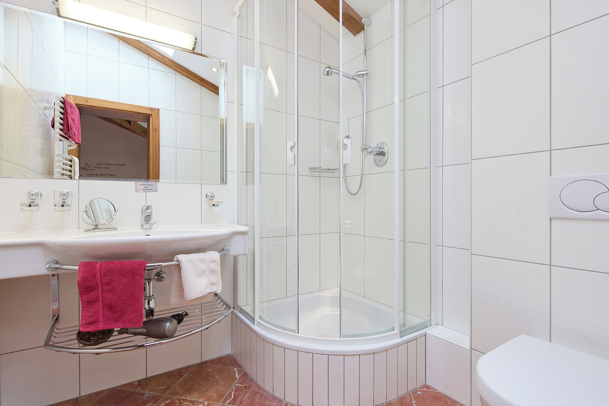 A modern bathroom with a glass-enclosed shower, a white sink with a mirror, and a white toilet.