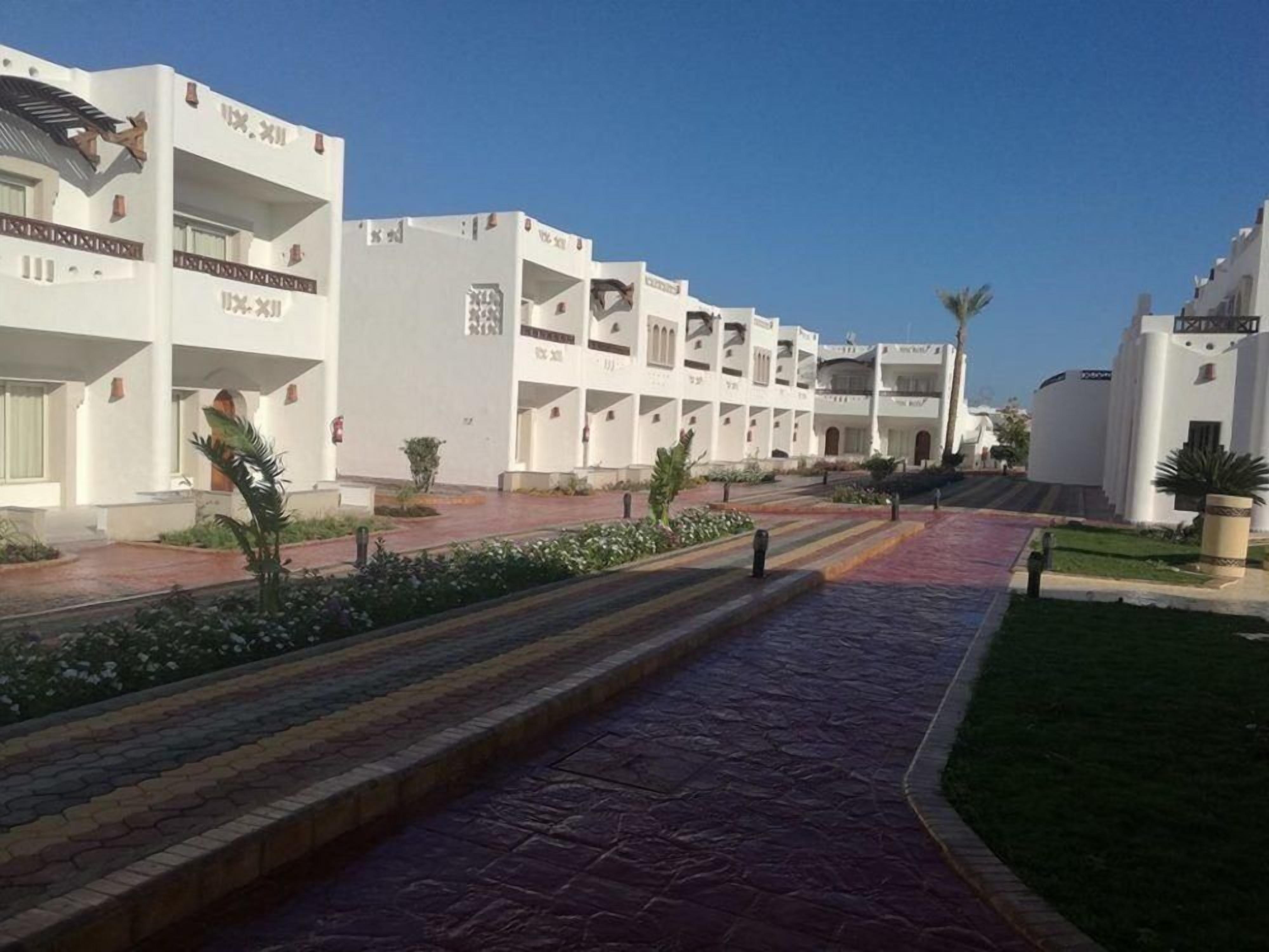 A hotel with white buildings, a paved walkway, and small plants.
