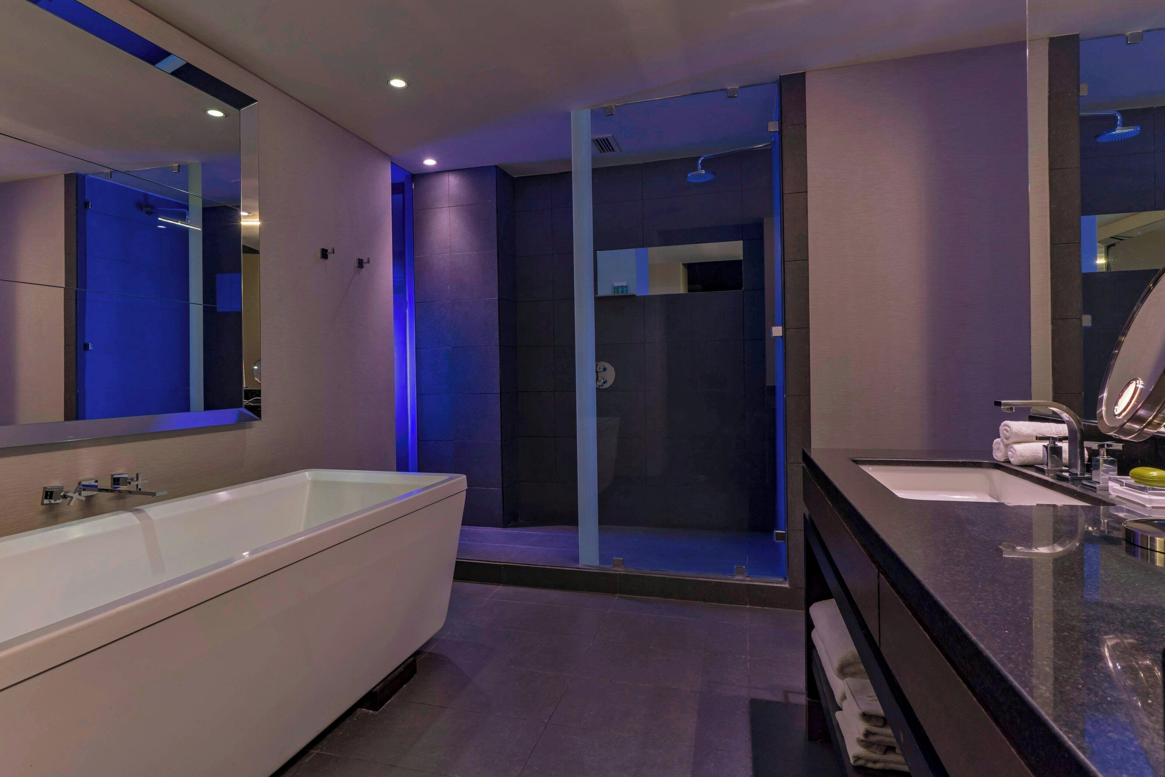 Une salle de bain moderne dotée d’une grande baignoire, d’une douche séparée et d’un meuble-lavabo.