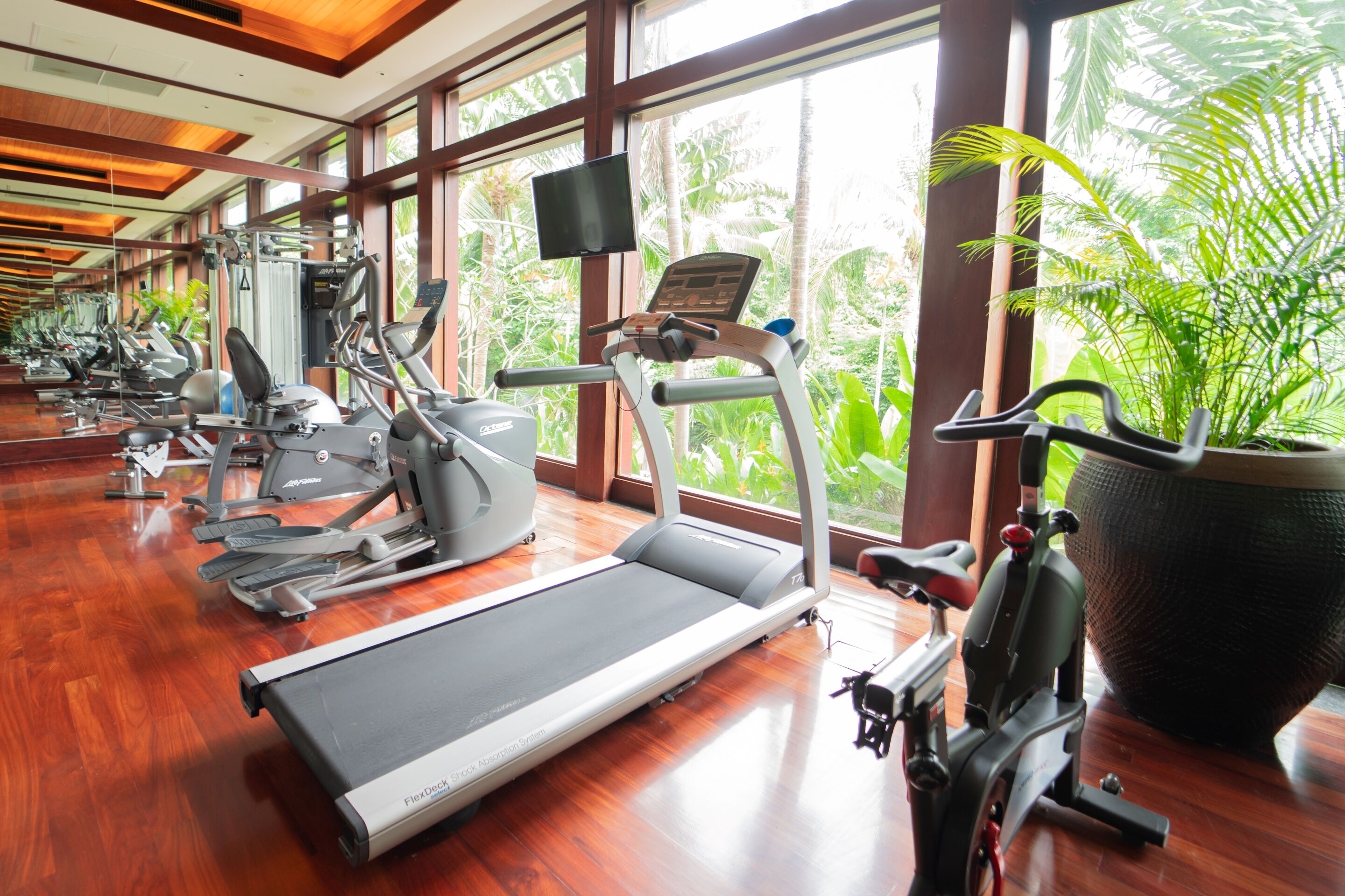 A gym with various exercise machines, large windows, and a potted plant.