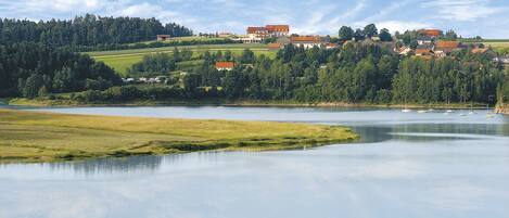 A serene lakeside view with a calm lake, green fields, and a cluster of houses with red roofs in the background.