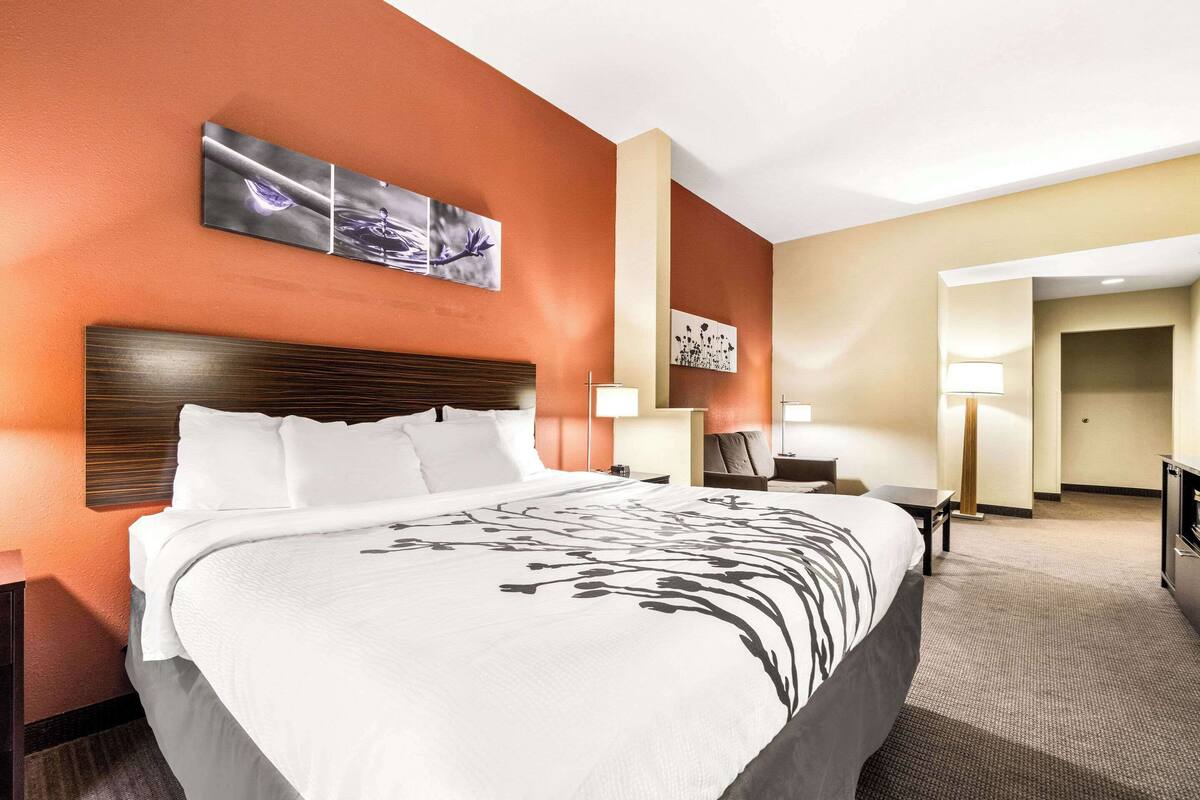 Habitación de hotel con una cama grande, cabecera de madera, una obra de arte colgada en la pared, un escritorio y una lámpara.