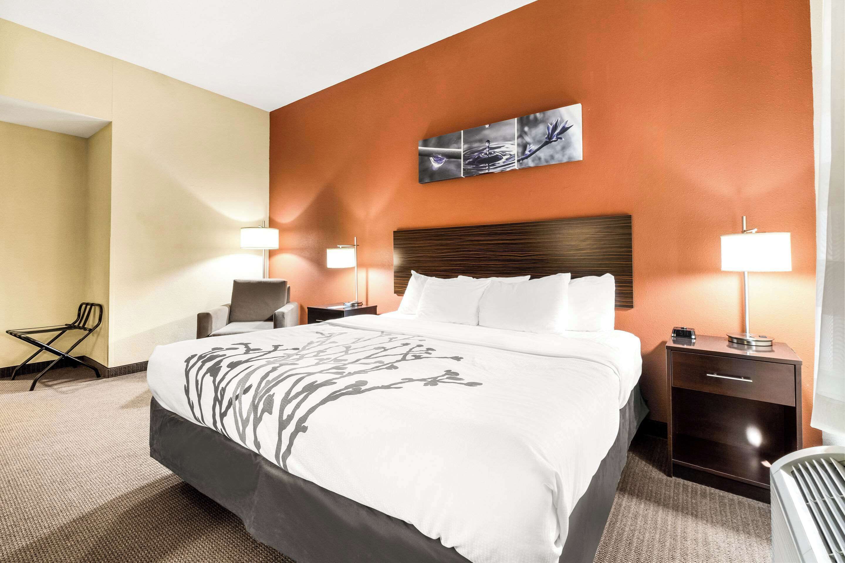 Habitación de hotel con una cama grande, dos mesitas de noche con lámparas, una silla y una obra de arte colgada en la pared.