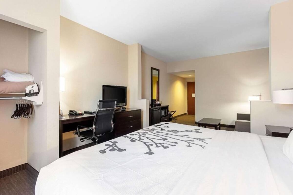 Una habitación de hotel con cama, escritorio, silla, televisor y espejo.