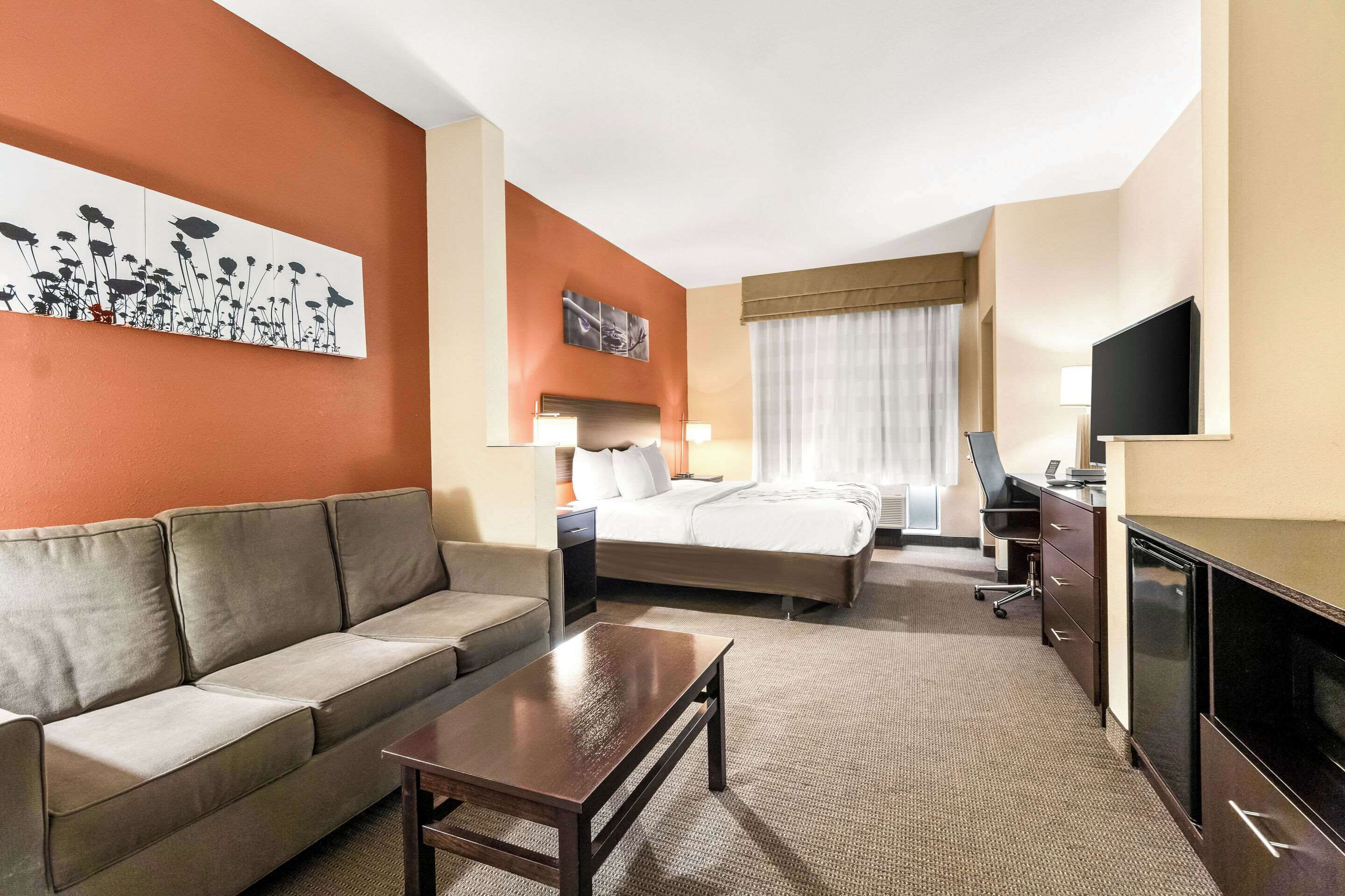 A hotel room with a sofa, a bed, a desk, and a TV.
