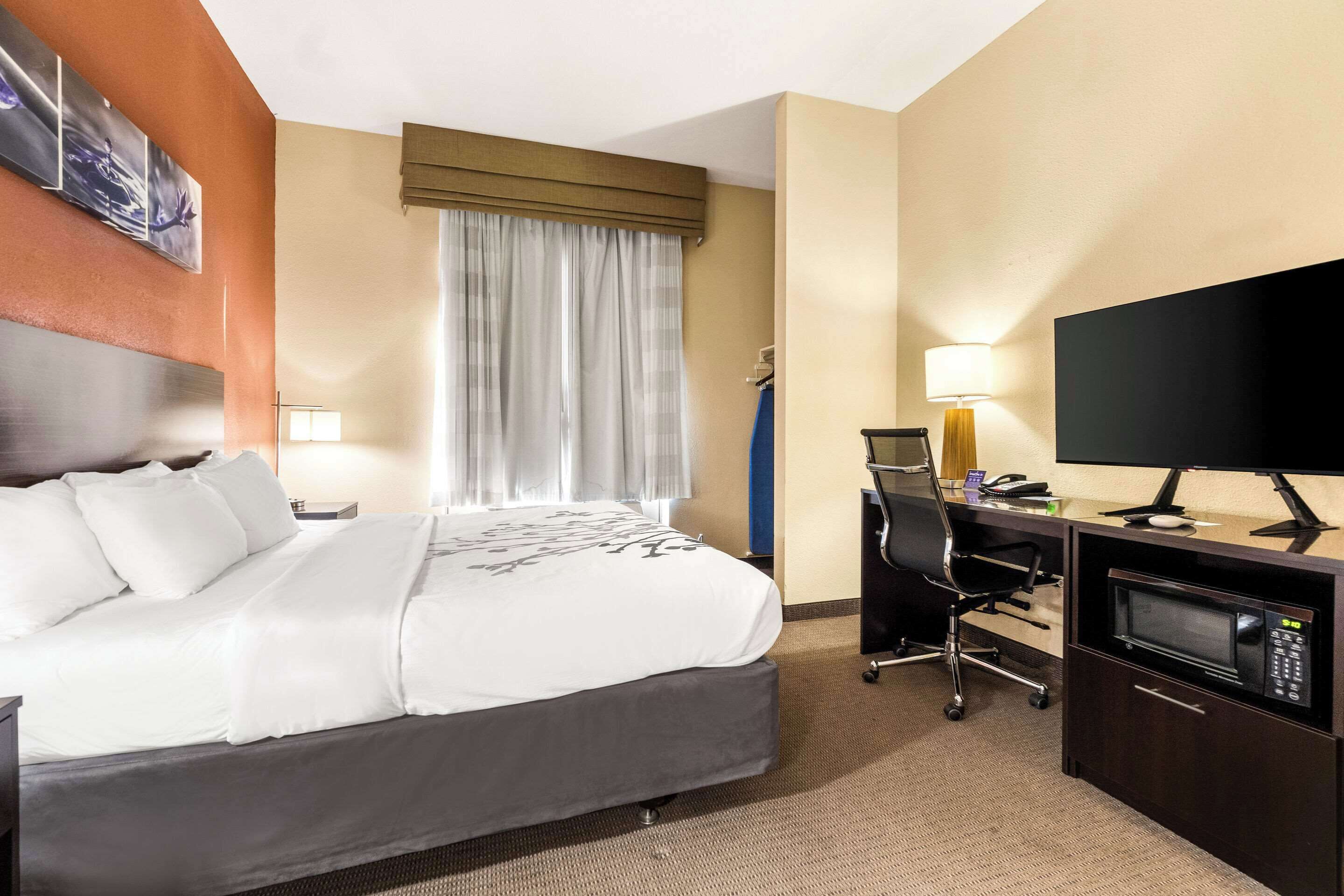 room, 1 king bed, accessible, non smoking | desk, laptop workspace, blackout curtains, iron/ironing board