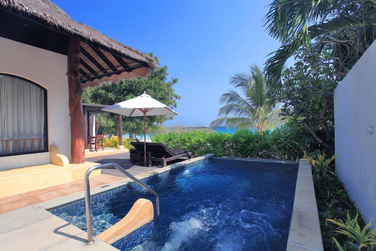 A swimming pool with a wooden deck and lounge chairs, surrounded by tropical plants and a thatched-roof structure.