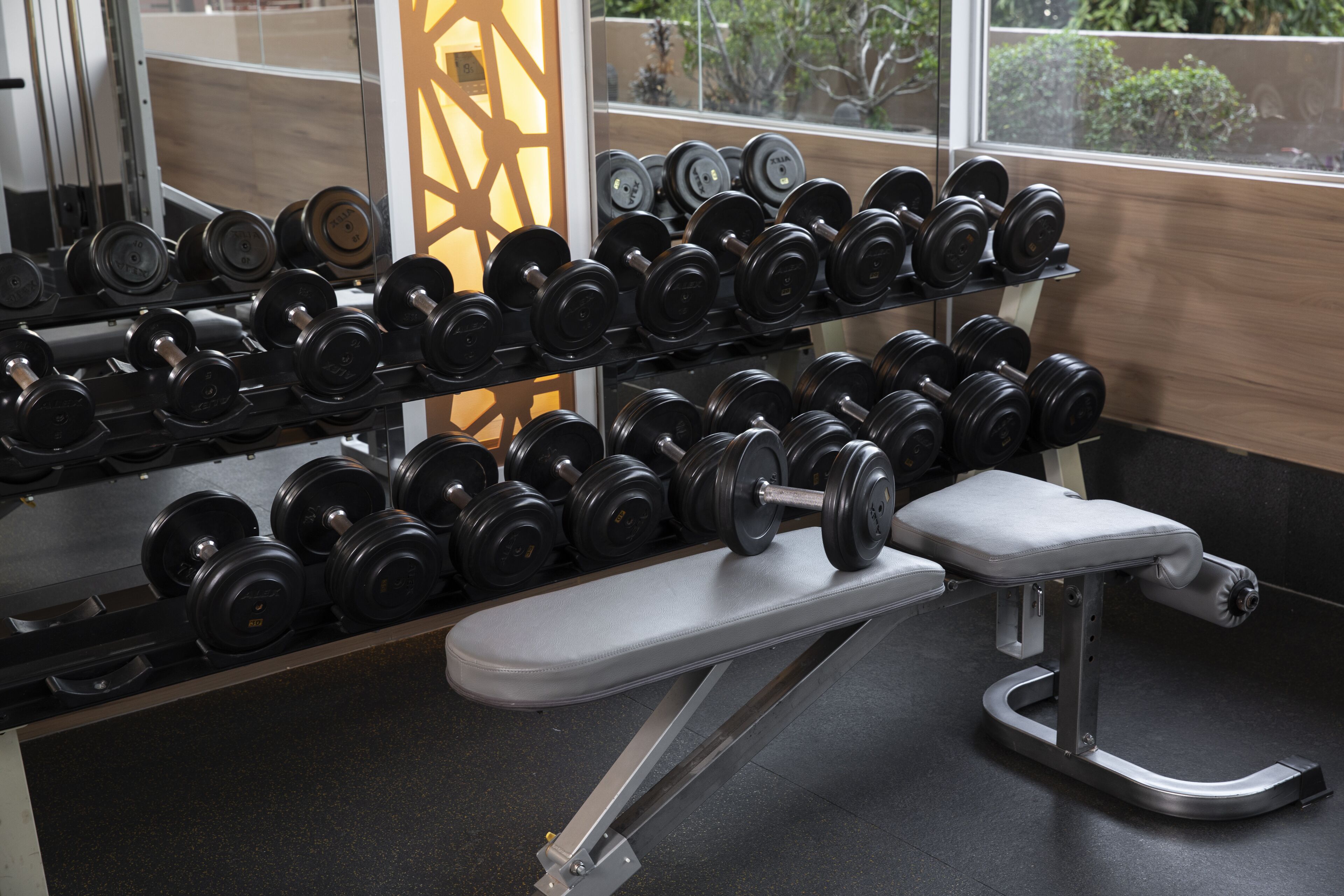 Un gimnasio con una banca y un estante de mancuernas.