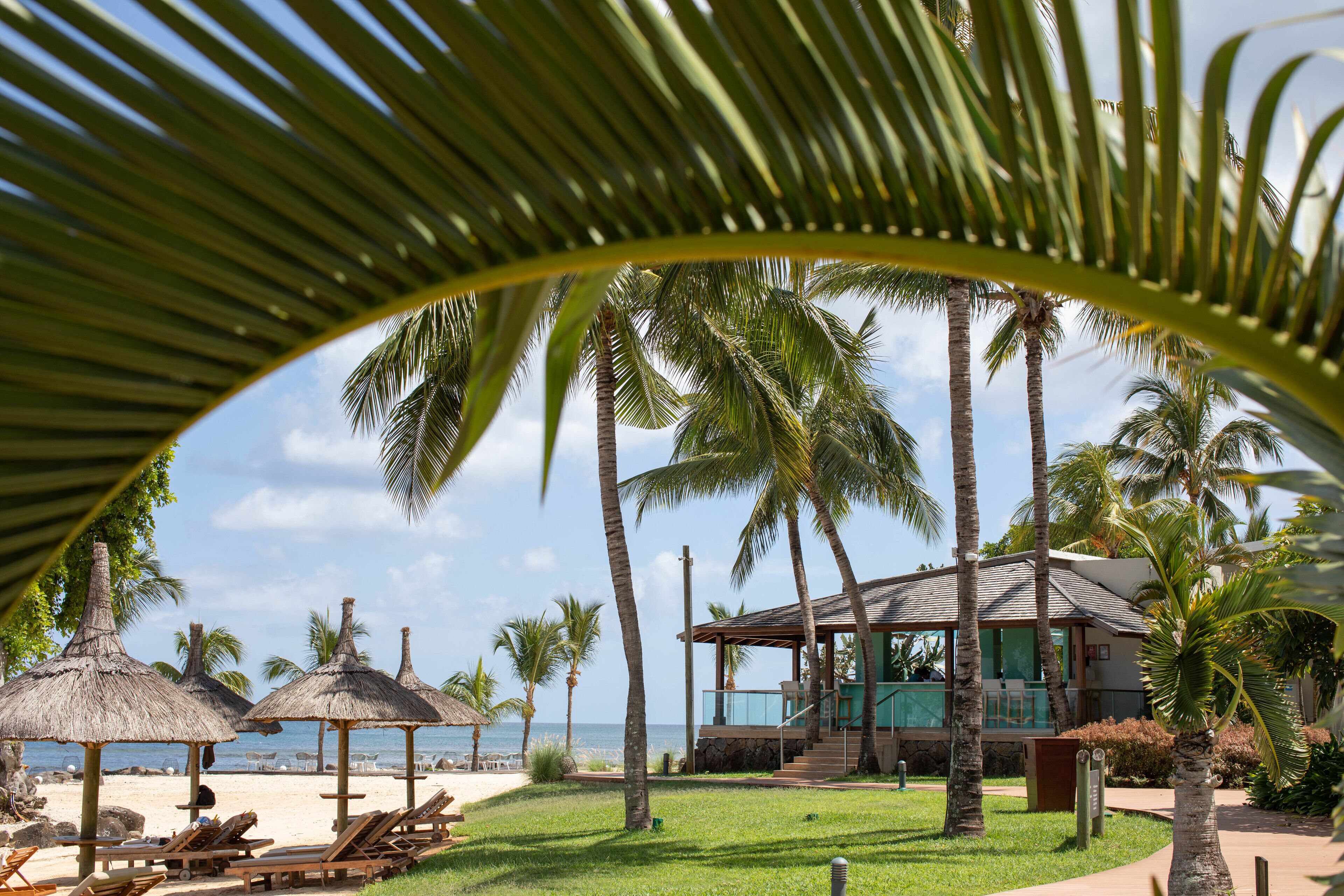 A beach resort with palm trees, lounge chairs, and a building with a balcony overlooking the ocean.