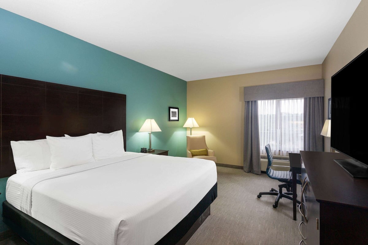 Room, 1 King Bed, Non Smoking