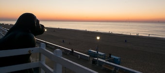 Safari Hotel Boardwalk