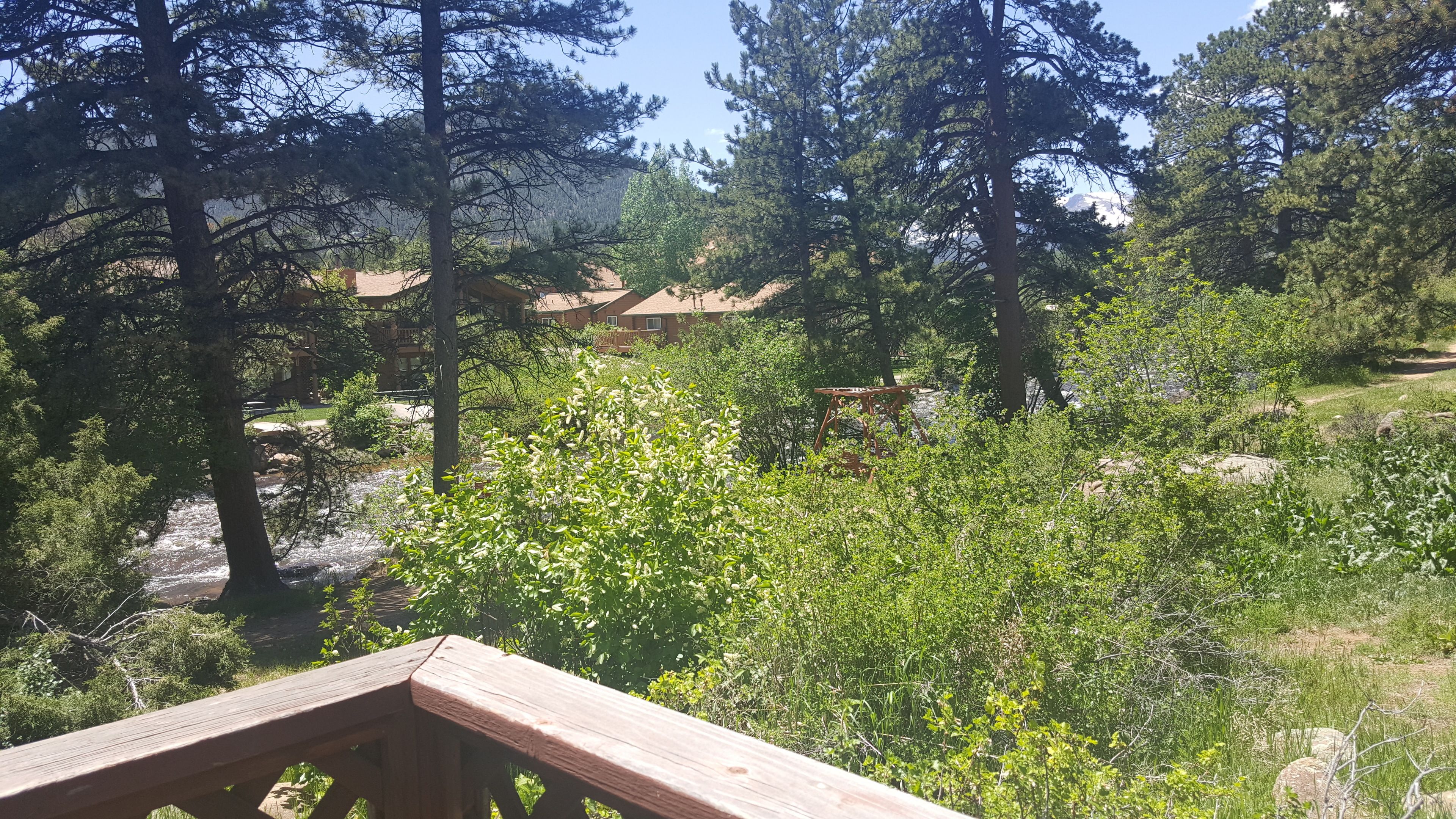 Vista de una zona boscosa con una terraza de madera al frente.