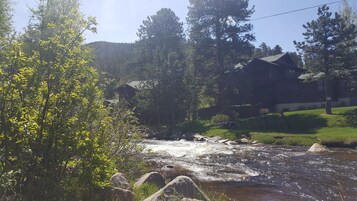 Vista desde la propiedad