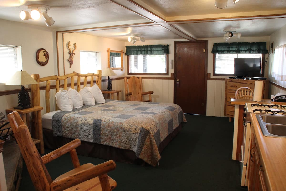 Sleepy Hollow #5 (Cabin w/ King Bed and Fireplace) | Living area | 34-inch flat-screen TV with cable channels, TV, DVD player