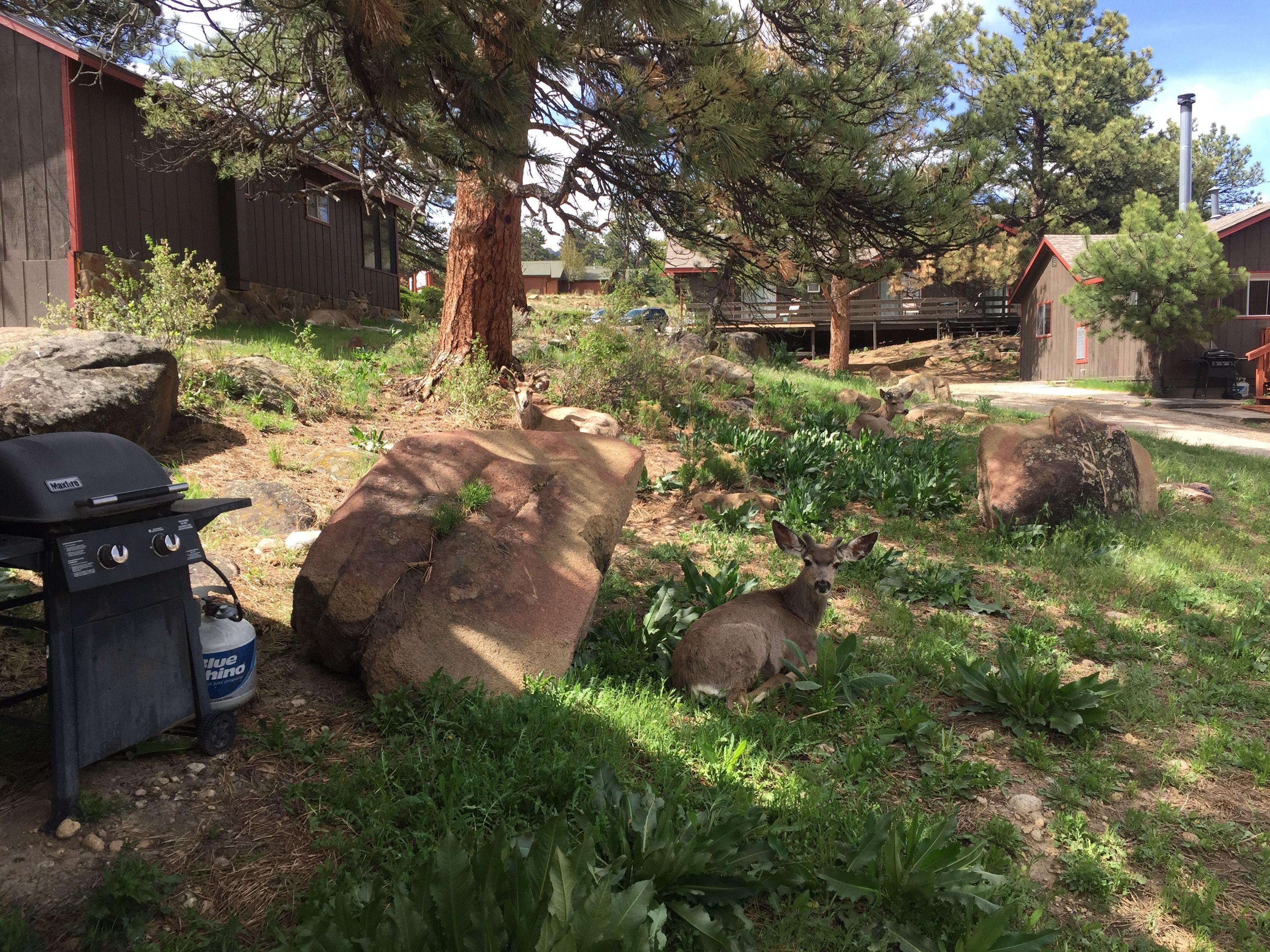 the 11th aero squadron #11 (private hot tub, fireplace, 2 adults, 4 children) | view from room