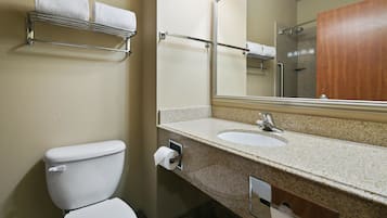 Une salle de bain équipée de toilettes, d’un lavabo et d’une douche.