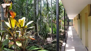 Een overdekte doorgang beplant met tropische planten en palmbomen, leidend naar een gebouw met gele muren en deuren.