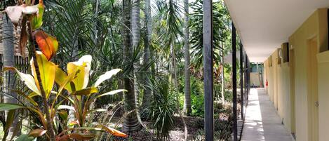 A covered walkway lined with tropical plants and palm trees, leading to a building with yellow walls and doors.
