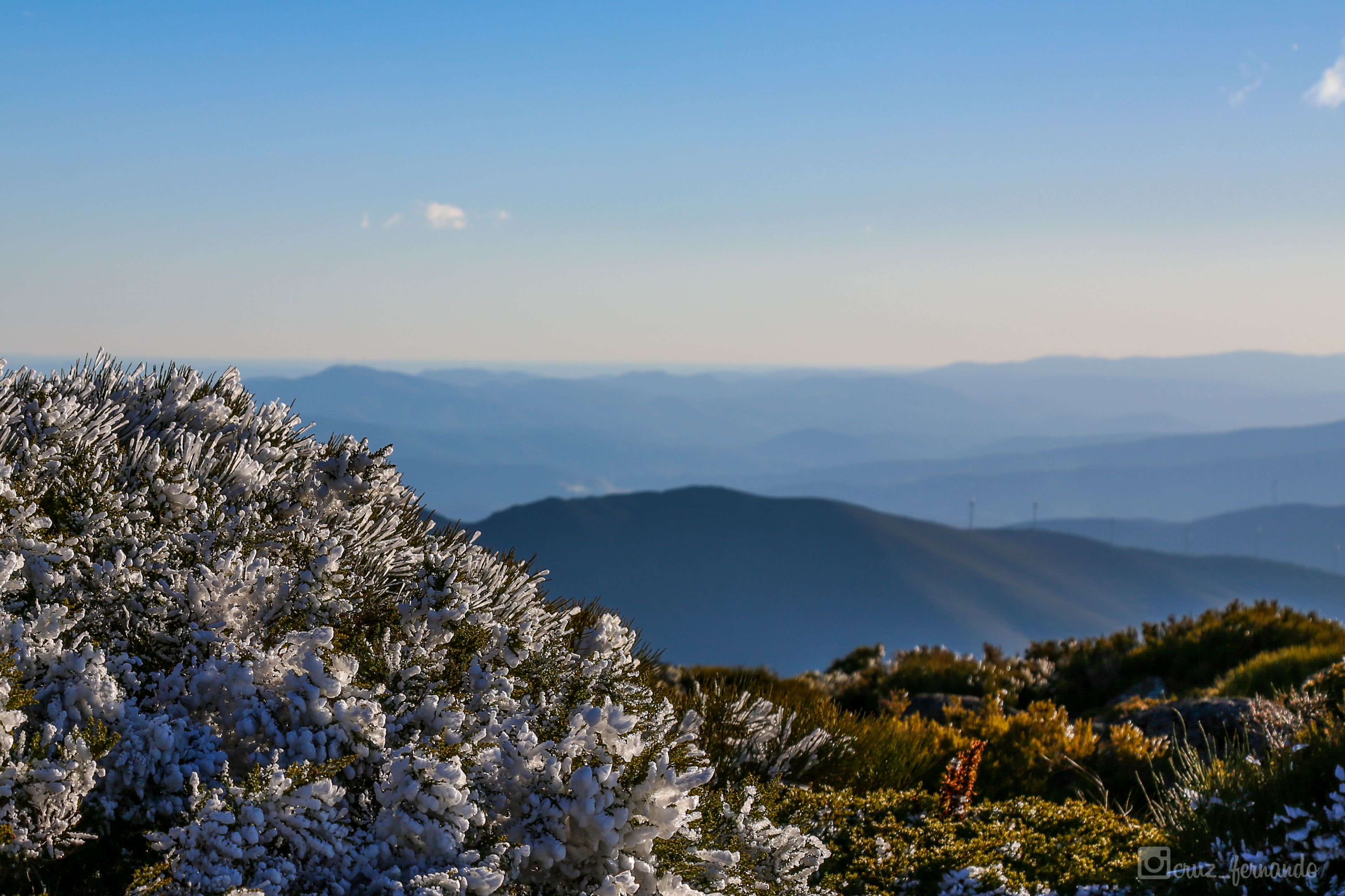 A mountainous landscape with snow-covered vegetation and distant hills.