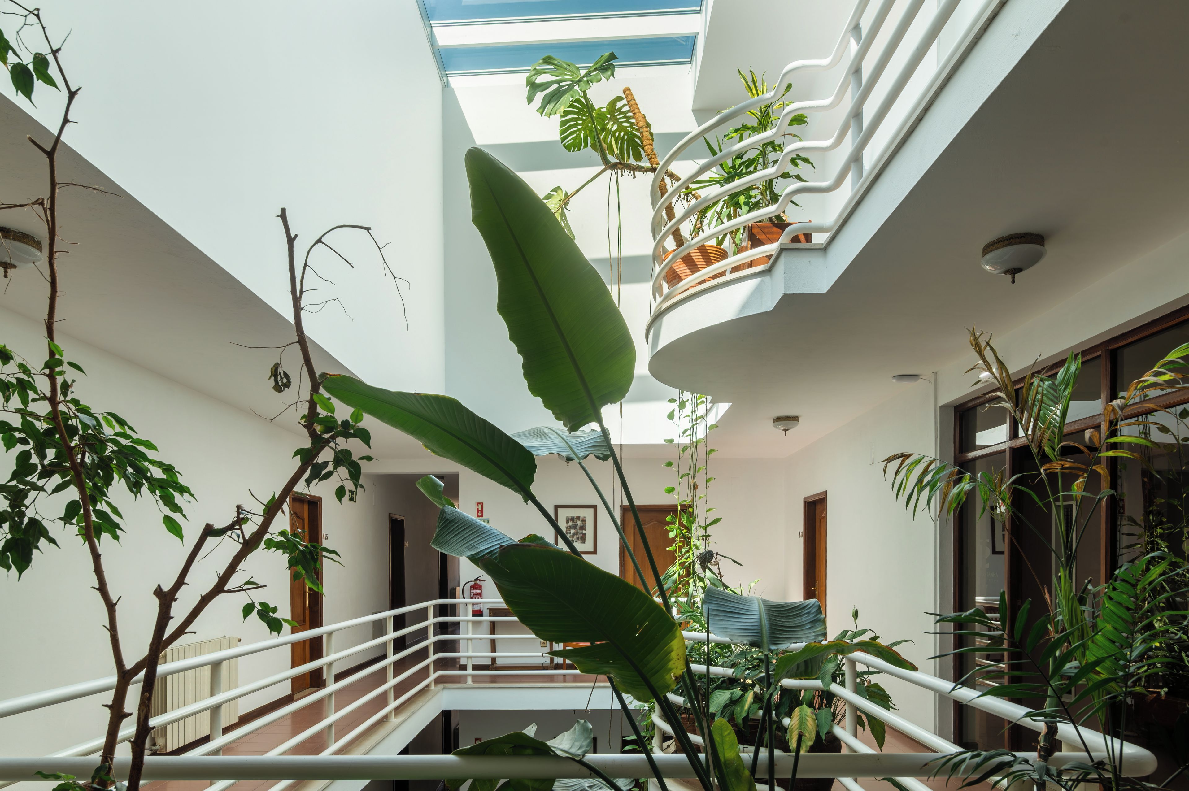 A multi-level atrium with a central staircase, surrounded by various indoor plants and a glass ceiling.