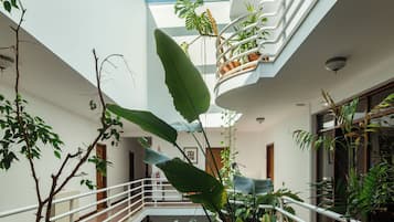 A multi-level atrium with a central staircase, surrounded by various indoor plants and a glass ceiling.