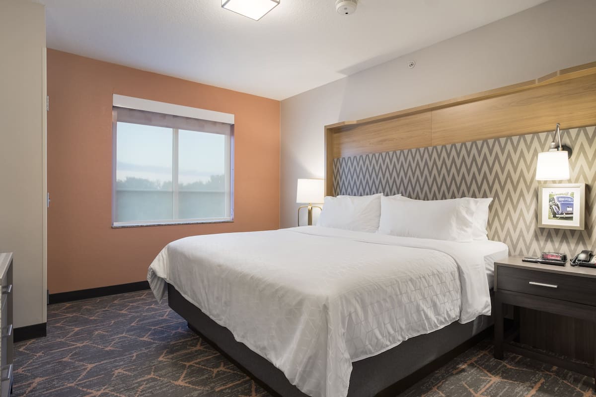 A hotel room with a large bed, a nightstand with a lamp, a window with a view, and a wall-mounted picture.