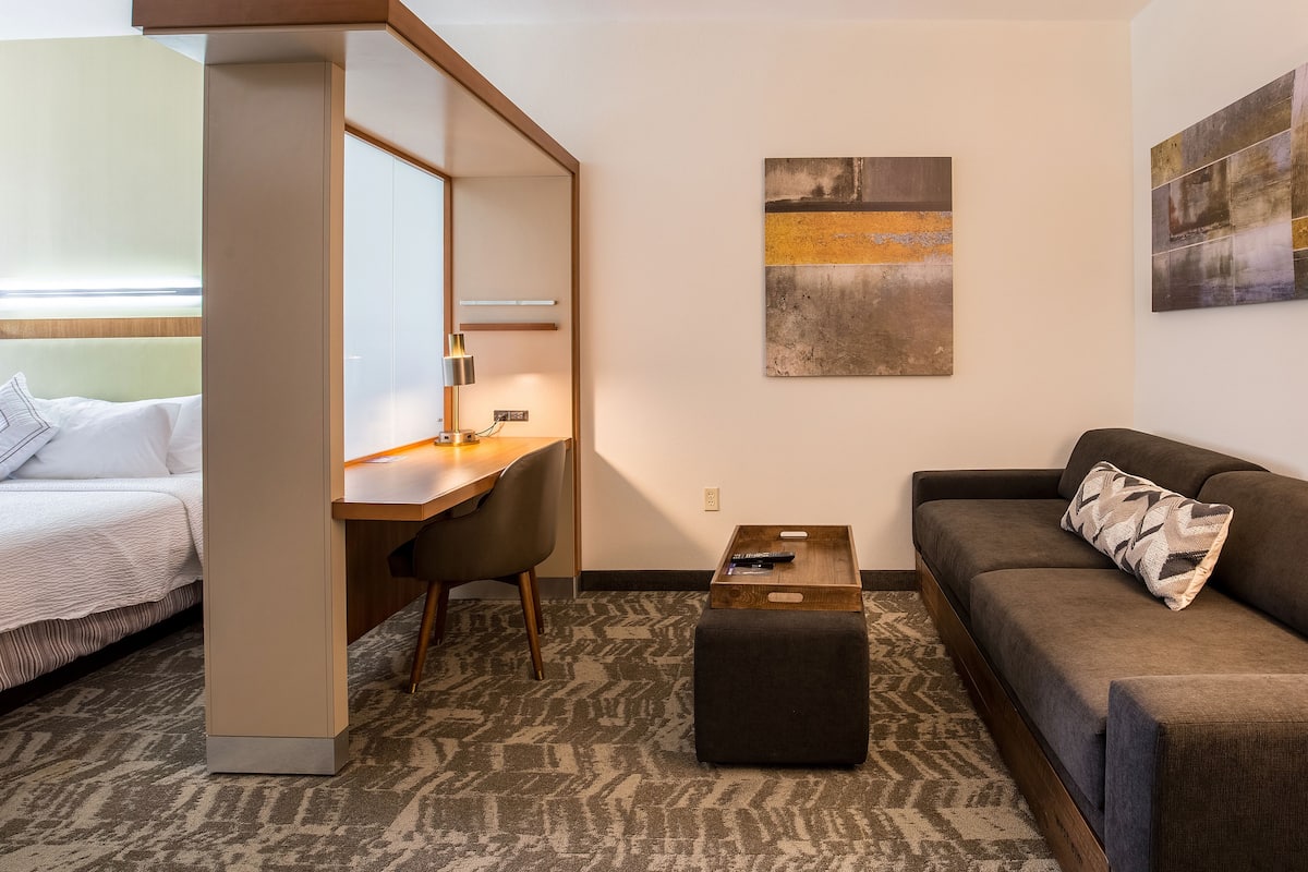 Suite, 1 King Bed with Sofa bed (Hearing Accessible) | Living area | 37-inch flat-screen TV with cable channels, TV, pay movies