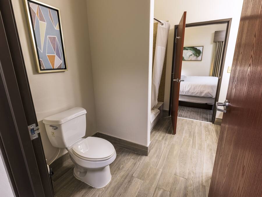 A modern bathroom with a toilet, shower, and a bed in the adjacent room.