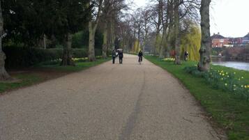 A paved pathway in a park with trees and a body of water in the background.