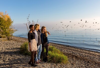 Hotel ibis Friedrichshafen Airport Messe