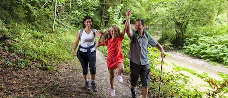 Three people walking on a forest path.