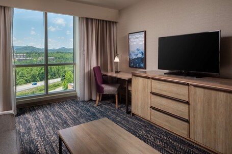 Hilton Asheville Biltmore Park - Image 31