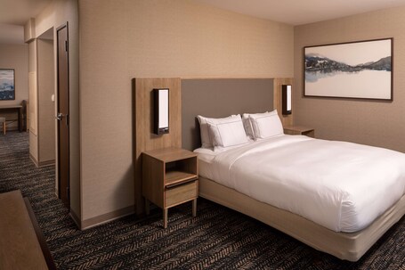 Hilton Asheville Biltmore Park - Image 78