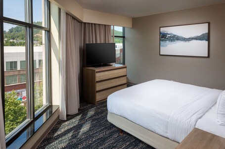 Hilton Asheville Biltmore Park - Image 73