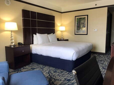 Hilton Asheville Biltmore Park - Image 74