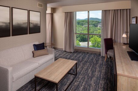 Hilton Asheville Biltmore Park - Image 61