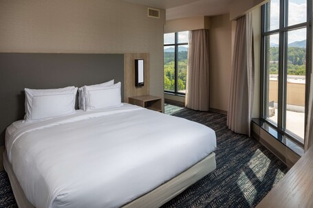 Hilton Asheville Biltmore Park - Image 45