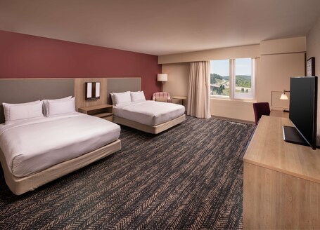 Hilton Asheville Biltmore Park - Image 43