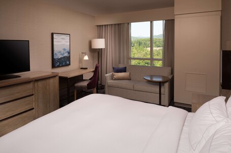 Hilton Asheville Biltmore Park - Image 80