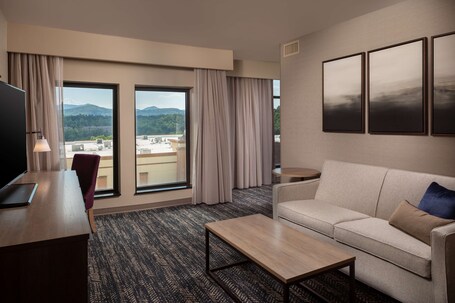 Hilton Asheville Biltmore Park - Image 30