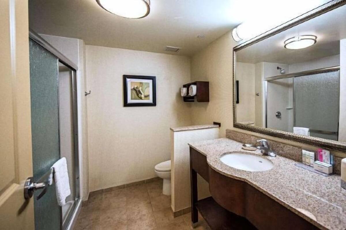 Bany | Articles de tocador gratuïts, assecador de cabells i tovalloles