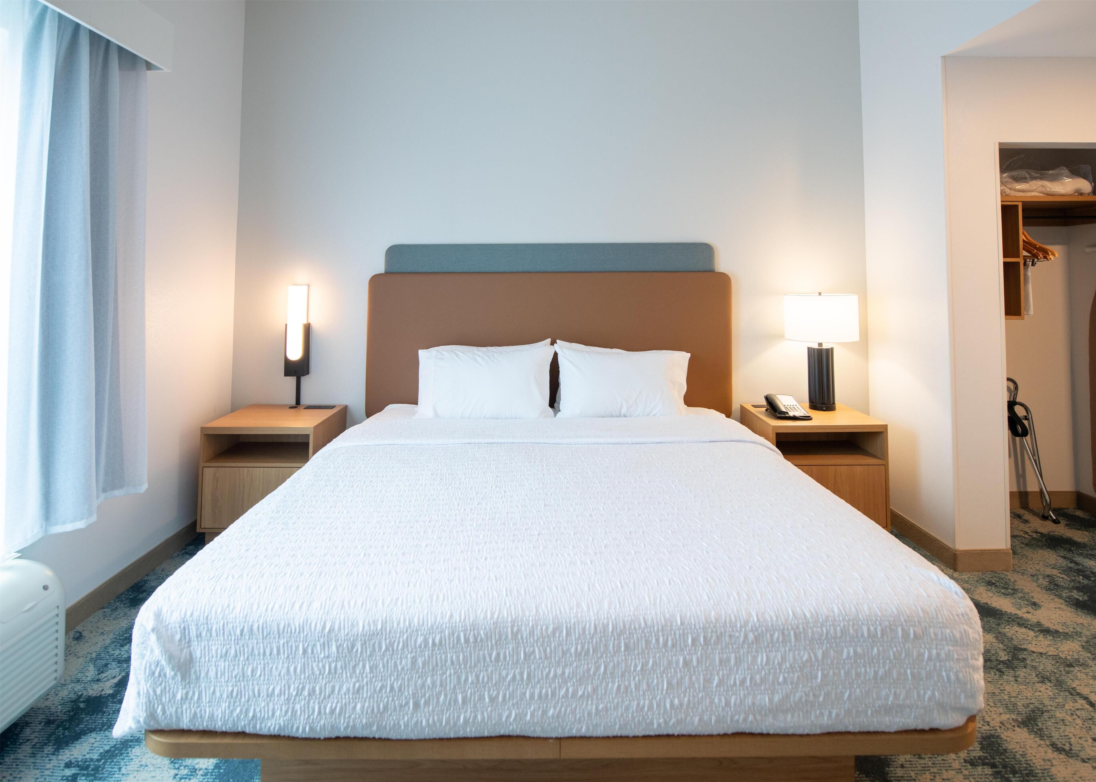 ห้องสวีท, เตียงคิงไซส์ 1 เตียง และโซฟาเบด, ปลอดบุหรี่ | เครื่องนอนป้องกันสารก่อภูมิแพ้, โต๊ะทำงาน, พื้นที่ทำงานแบบใช้แล็ปท็อป