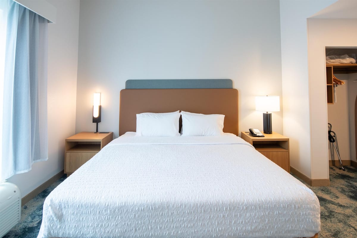 Suite, 1 cama King size y sofá cama, para no fumadores | 1 habitación, ropa de cama hipoalergénica y escritorio