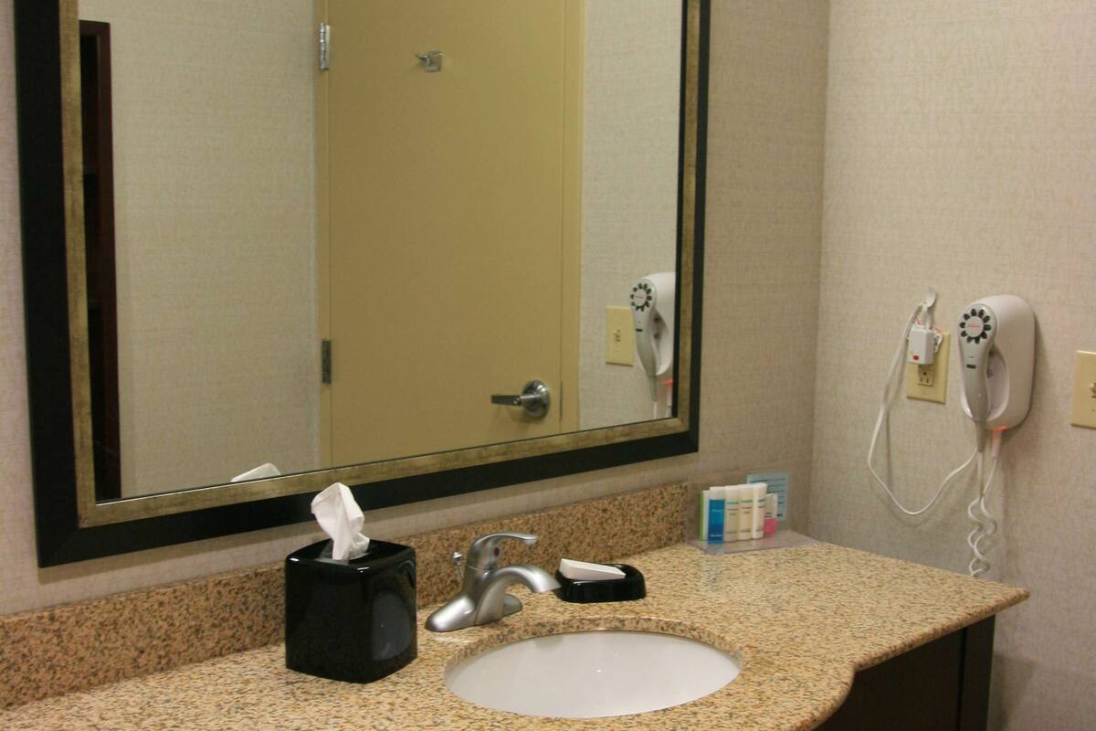 combined shower/bathtub, free toiletries, hair dryer, towels