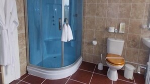 A bathroom with a glass-enclosed shower, a toilet with a wooden seat, and a sink. - Easton Court (Paignton)