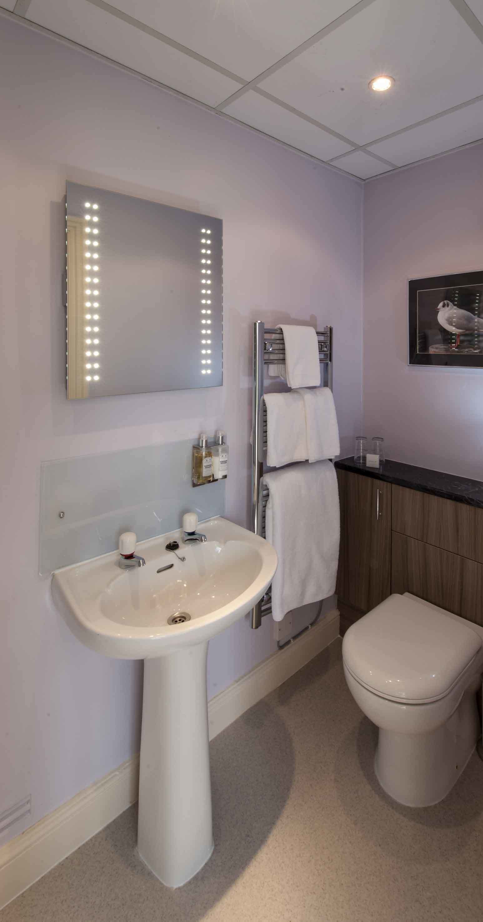 Een badkamer met een wastafel op voet, een spiegel met verlichting, een handdoekrek en een toilet.