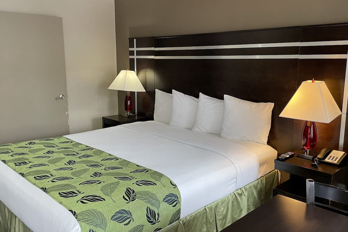 Standard Room, 1 King Bed, Accessible | 1 bedroom, hypo-allergenic bedding, in-room safe, desk