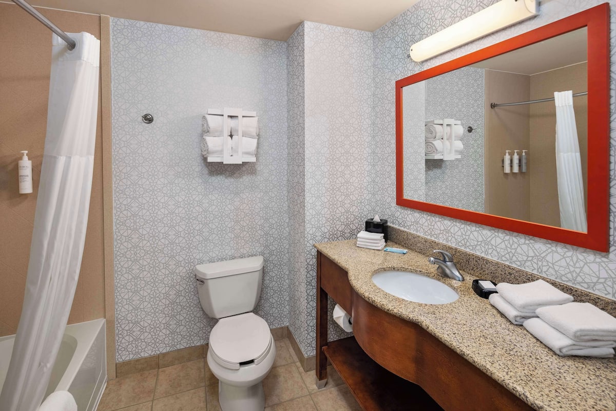 combined shower/bathtub, free toiletries, hair dryer, towels